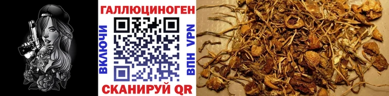 Галлюциногенные грибы MAGIC MUSHROOMS  Ачхой-Мартан 